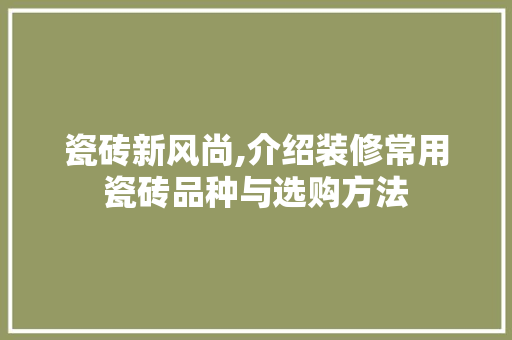 瓷砖新风尚,介绍装修常用瓷砖品种与选购方法 卧室装修