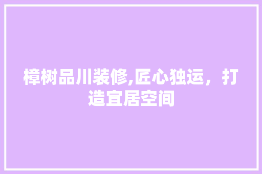樟树品川装修,匠心独运，打造宜居空间 中式风格装饰
