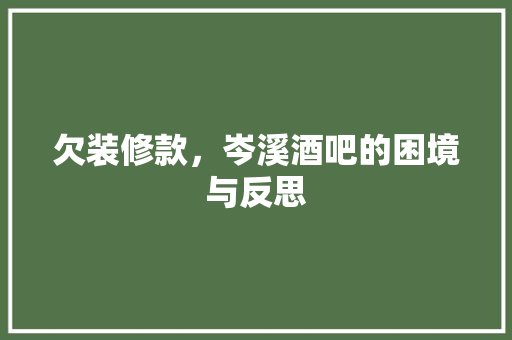 欠装修款，岑溪酒吧的困境与反思 现代风格装饰