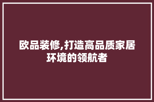 欧品装修,打造高品质家居环境的领航者 家居装修