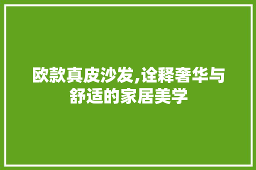 欧款真皮沙发,诠释奢华与舒适的家居美学 中式风格装饰