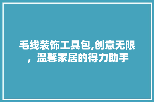 毛线装饰工具包,创意无限，温馨家居的得力助手