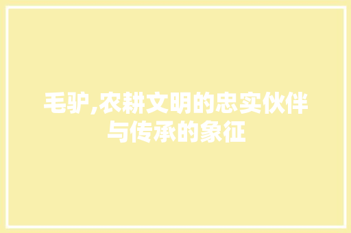 毛驴,农耕文明的忠实伙伴与传承的象征 地板材料