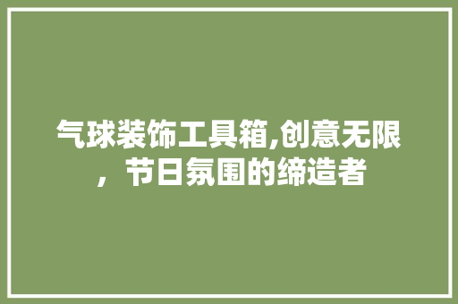 气球装饰工具箱,创意无限，节日氛围的缔造者 软装设计