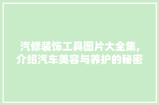 汽修装饰工具图片大全集,介绍汽车美容与养护的秘密武器