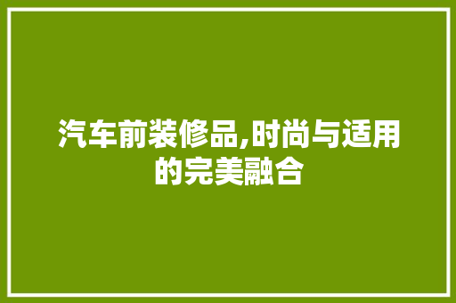 汽车前装修品,时尚与适用的完美融合