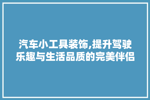 汽车小工具装饰,提升驾驶乐趣与生活品质的完美伴侣