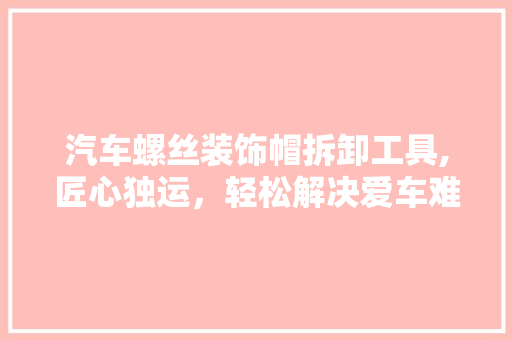 汽车螺丝装饰帽拆卸工具,匠心独运，轻松解决爱车难题 中式风格装饰