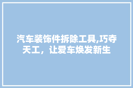 汽车装饰件拆除工具,巧夺天工，让爱车焕发新生 木雕艺术