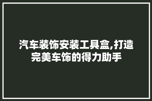 汽车装饰安装工具盒,打造完美车饰的得力助手 家居装修