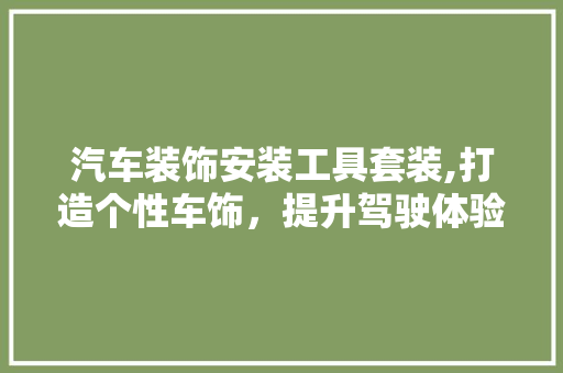 汽车装饰安装工具套装,打造个性车饰，提升驾驶体验 软装设计