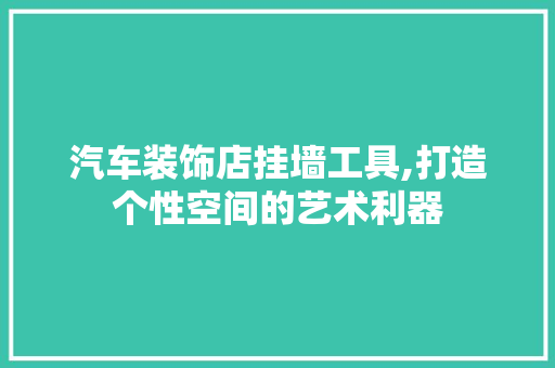 汽车装饰店挂墙工具,打造个性空间的艺术利器 木雕艺术