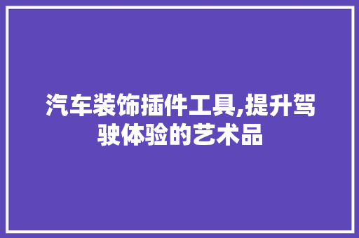 汽车装饰插件工具,提升驾驶体验的艺术品 地板材料