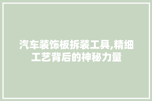 汽车装饰板拆装工具,精细工艺背后的神秘力量 室内设计