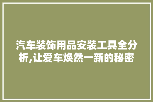 汽车装饰用品安装工具全分析,让爱车焕然一新的秘密武器 地板材料