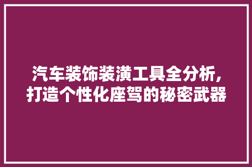 汽车装饰装潢工具全分析,打造个性化座驾的秘密武器