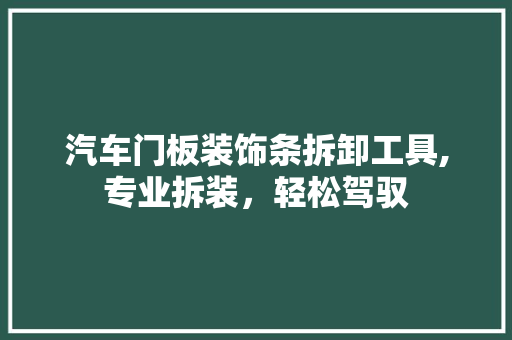 汽车门板装饰条拆卸工具,专业拆装，轻松驾驭