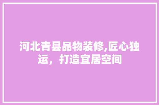 河北青县品物装修,匠心独运，打造宜居空间 客厅装修
