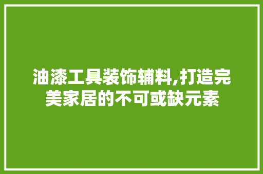 油漆工具装饰辅料,打造完美家居的不可或缺元素