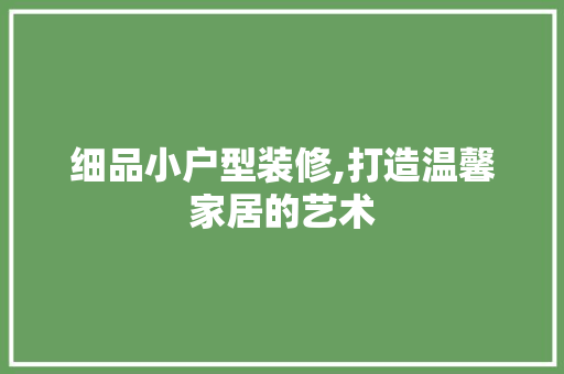 细品小户型装修,打造温馨家居的艺术 地板材料