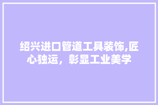 绍兴进口管道工具装饰,匠心独运，彰显工业美学 室内设计