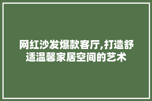 网红沙发爆款客厅,打造舒适温馨家居空间的艺术 现代风格装饰