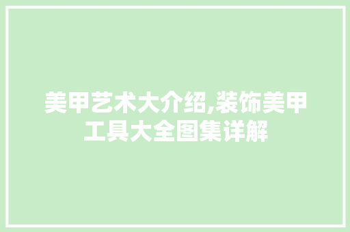 美甲艺术大介绍,装饰美甲工具大全图集详解 中式风格装饰