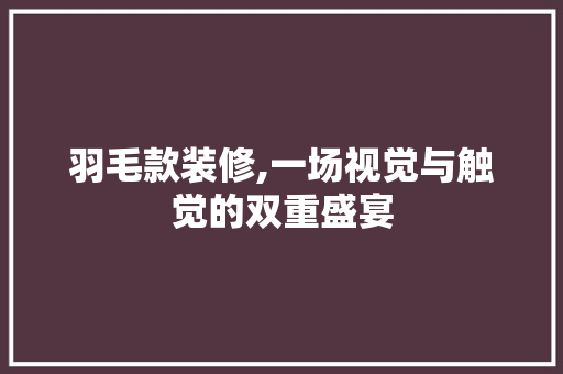 羽毛款装修,一场视觉与触觉的双重盛宴 家居装修