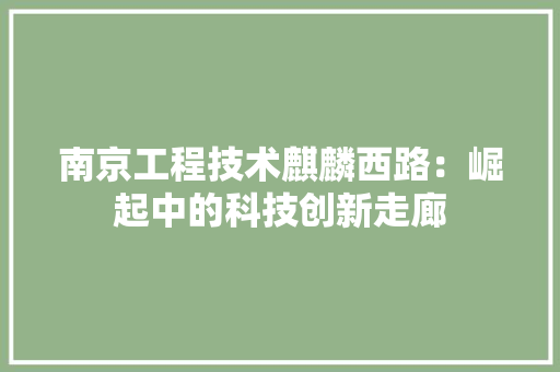南京工程技术麒麟西路：崛起中的科技创新走廊