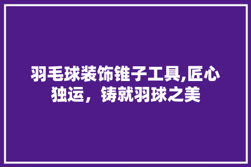 羽毛球装饰锥子工具,匠心独运，铸就羽球之美 卧室装修