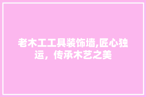 老木工工具装饰墙,匠心独运，传承木艺之美 地板材料