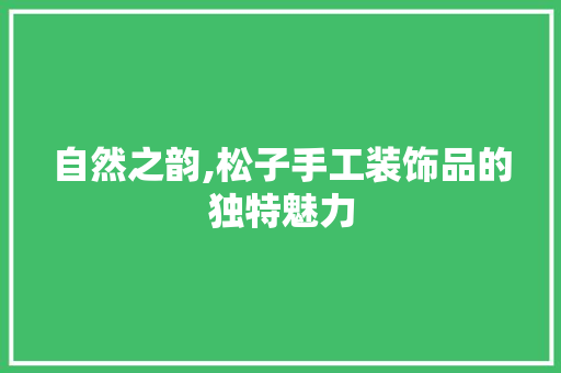 自然之韵,松子手工装饰品的独特魅力 室内设计