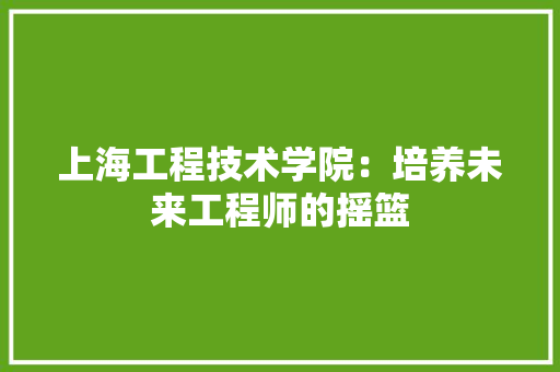 上海工程技术学院：培养未来工程师的摇篮 软装设计