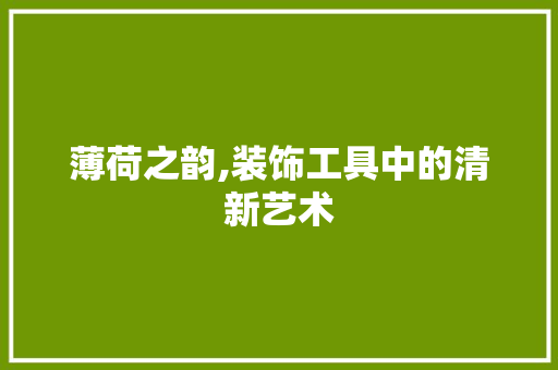 薄荷之韵,装饰工具中的清新艺术 现代风格装饰