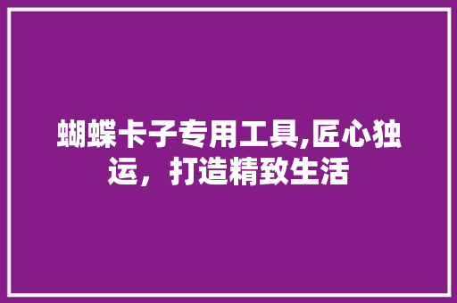 蝴蝶卡子专用工具,匠心独运，打造精致生活 中式风格装饰