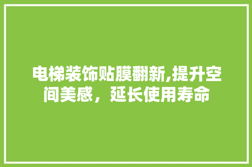 电梯装饰贴膜翻新,提升空间美感，延长使用寿命 客厅装修