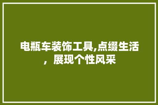 电瓶车装饰工具,点缀生活，展现个性风采 现代风格装饰