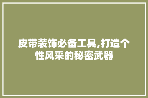 皮带装饰必备工具,打造个性风采的秘密武器 中式风格装饰