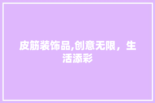 皮筋装饰品,创意无限，生活添彩 家居装修