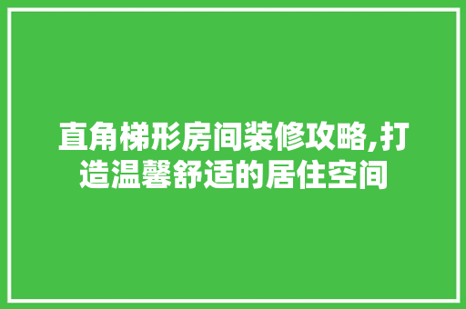 直角梯形房间装修攻略,打造温馨舒适的居住空间