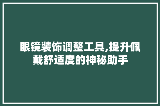 眼镜装饰调整工具,提升佩戴舒适度的神秘助手 软装设计
