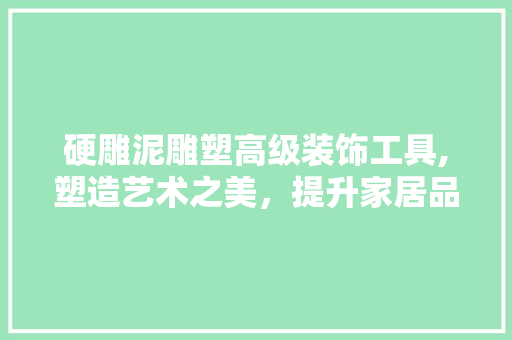 硬雕泥雕塑高级装饰工具,塑造艺术之美，提升家居品质