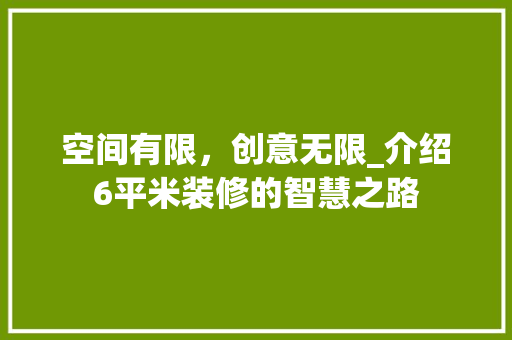 空间有限，创意无限_介绍6平米装修的智慧之路 室内设计