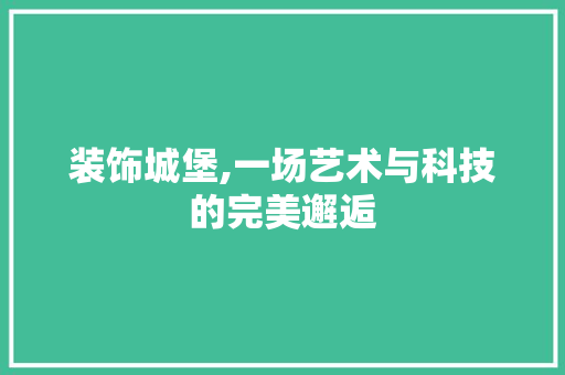 装饰城堡,一场艺术与科技的完美邂逅 地板材料