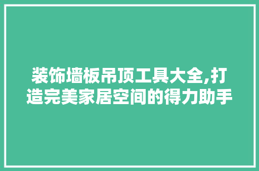 装饰墙板吊顶工具大全,打造完美家居空间的得力助手 现代风格装饰
