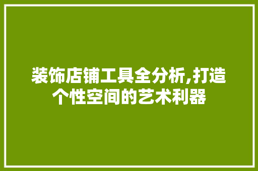 装饰店铺工具全分析,打造个性空间的艺术利器 家居装修
