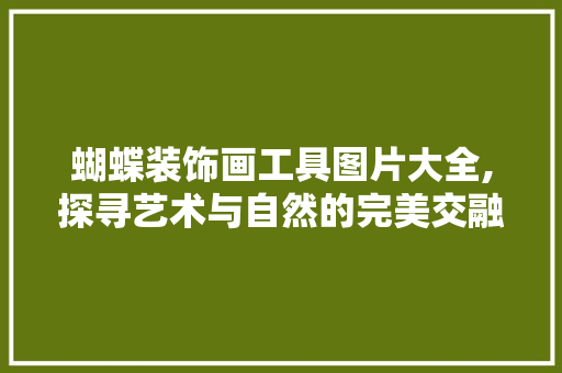 蝴蝶装饰画工具图片大全,探寻艺术与自然的完美交融 现代风格装饰