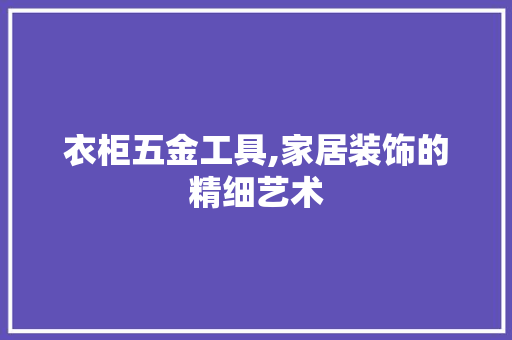 衣柜五金工具,家居装饰的精细艺术 卧室装修
