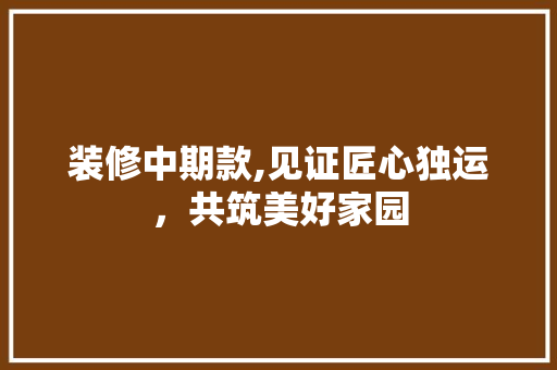 装修中期款,见证匠心独运，共筑美好家园 客厅装修