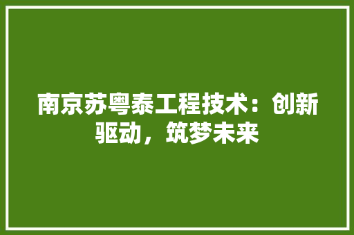 南京苏粤泰工程技术：创新驱动，筑梦未来